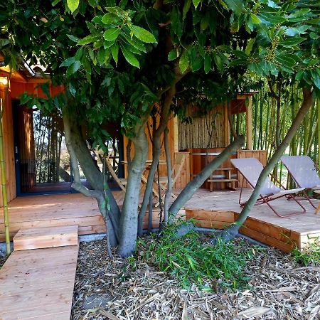 Maisonette Et Spa Bois La Bégude-de-Mazenc Екстериор снимка