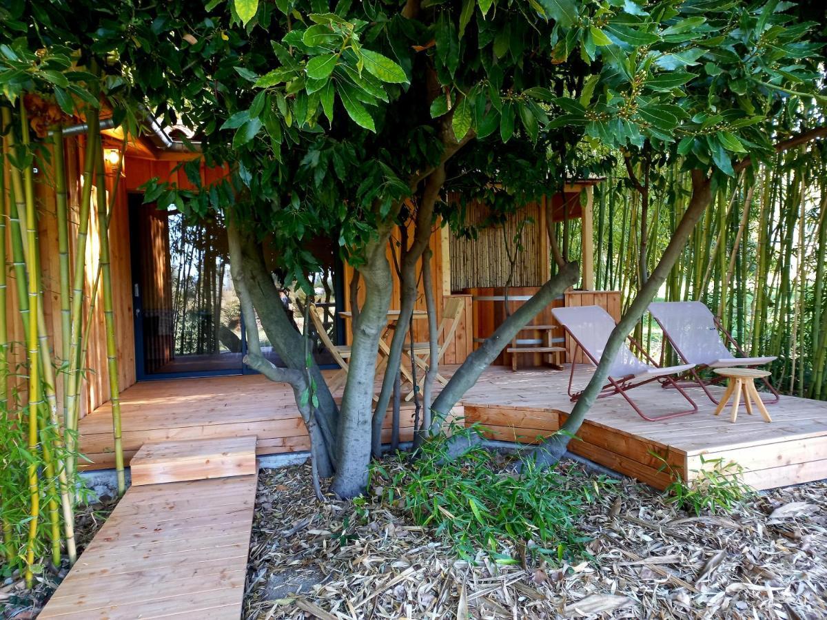 Maisonette Et Spa Bois La Bégude-de-Mazenc Екстериор снимка